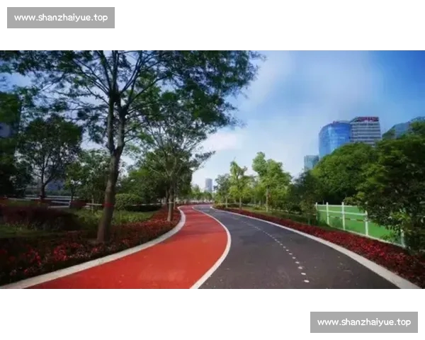 全面提升运动体验 一站式综合体育APP下载助你更好锻炼健康