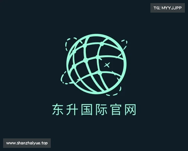 认识东升国际官网